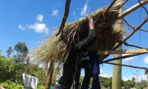 African Hut-Roofing-Wesley